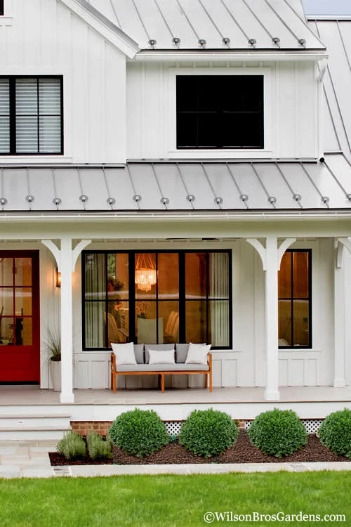 Korean Dwarf Boxwood - Buxus sinica var. insularis 'Nana' - 1 Gallon Pot