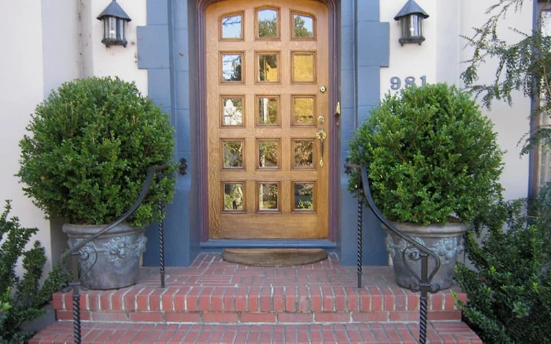 Wintergreen Boxwood - 6 Pack of 1 Gallon Pots